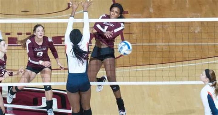 Taylor Pippen Women's Volleyball Southern Illinois University Athletics