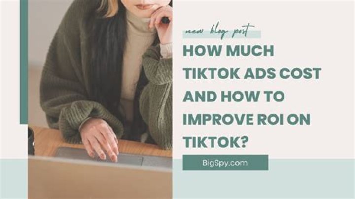 The 1 Largest TikTok Ad Library BigSpy
