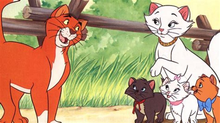 The 12 Best Movie Cats of All Time &mdash; IndieWire Critics Survey IndieWire