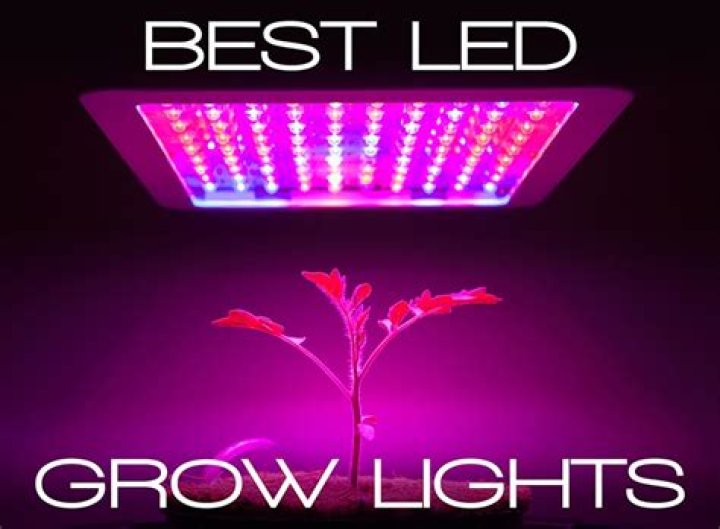 The Best Led Grow Lights 2024 Iris Gretchen