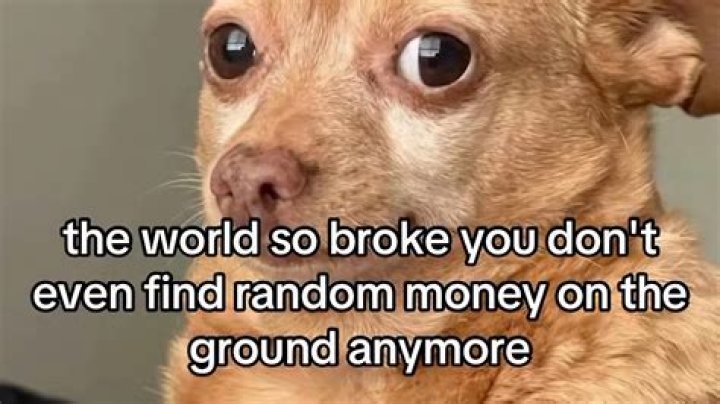 The Best Meme In The World YouTube