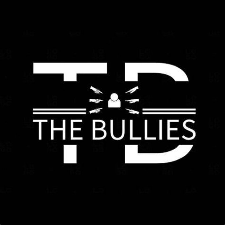 the bullies YouTube