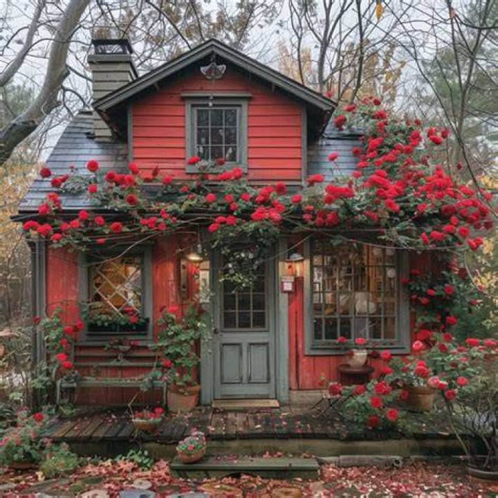 The Cozy Red Cottage Grow Your Own Crystals