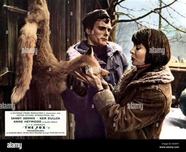 The Fox Keir Dullea 1968 Photo Print