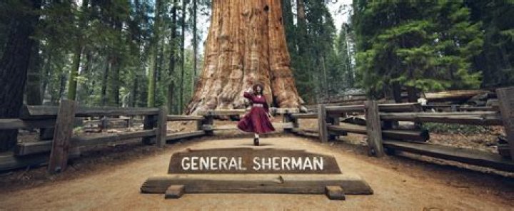 THE GENERAL'S DAUGHTER (1999) JAMES WOODS GDAU 024 Stock Photo Alamy