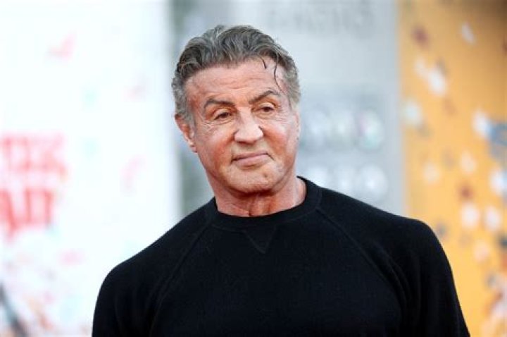 The Icon In 2023 Sylvester Stallone Sylvester Stallon vrogue.co