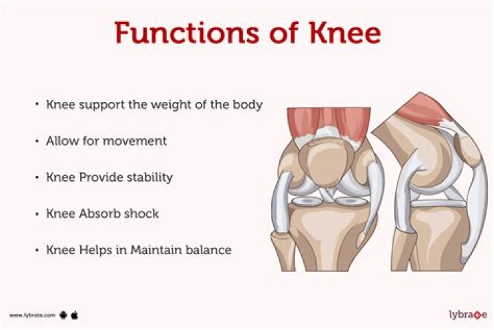 The Knee Thing Origin The Knee Thing Know Your Meme