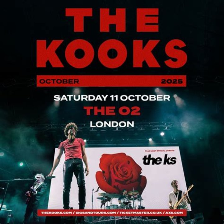 The Kooks, MGMT For Playboy Fashion Line Clash Magazine Music News