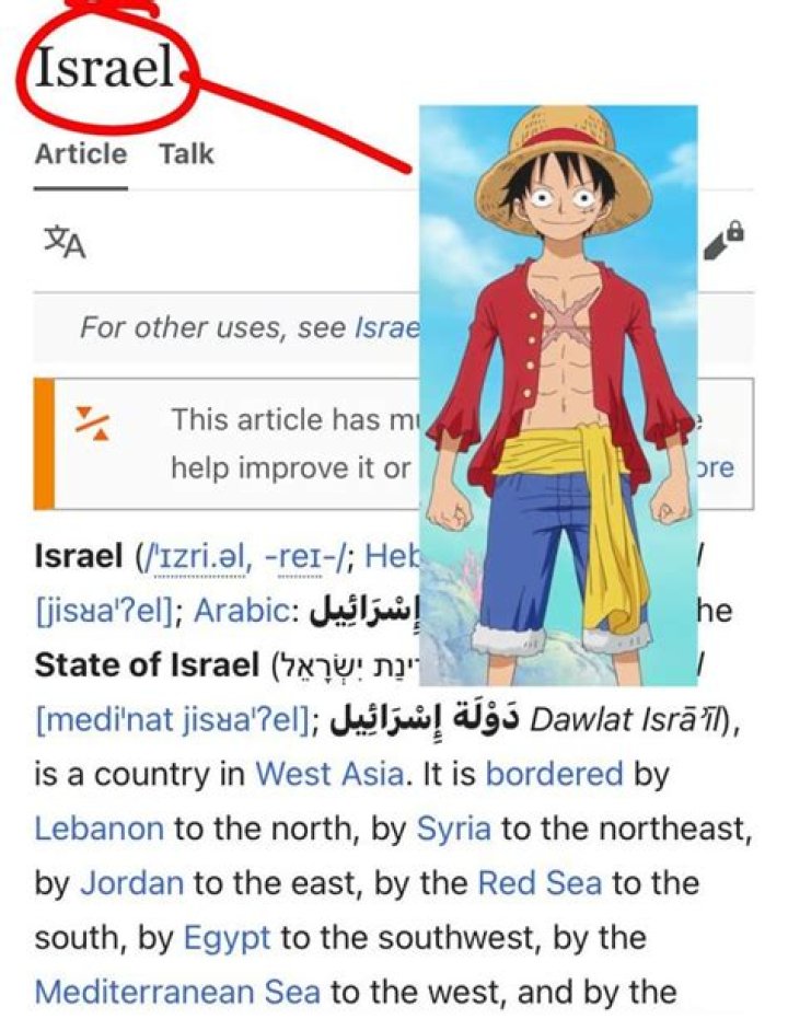 THE ONE PIECE ISRAEL r/wordington