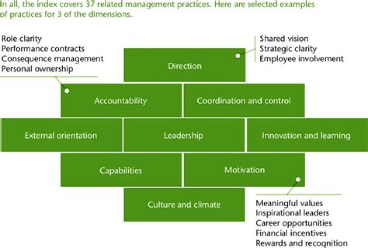The OrganizationalHealth Index Tracks Nine Dimensions of... Download