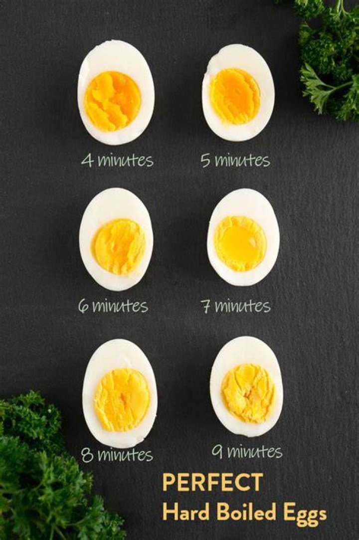 The Perfect Hard Boiled Egg 4 Steps (with Pictures) Instructables