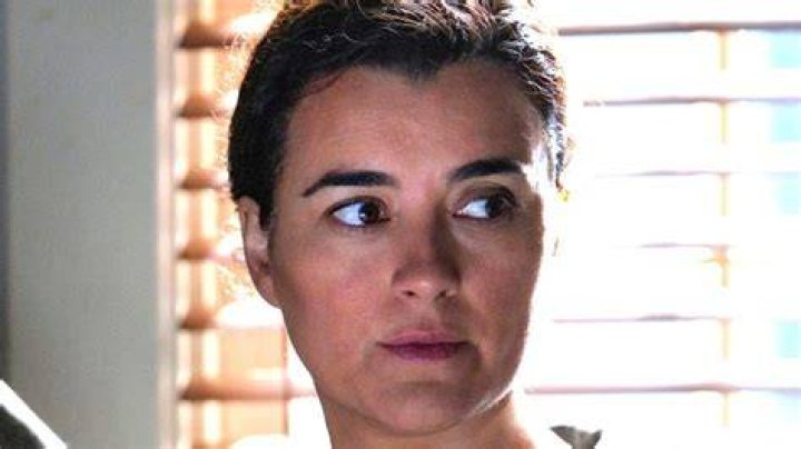 The Staggering Number Of NCIS Los Angeles Episodes Linda Hunt Actually