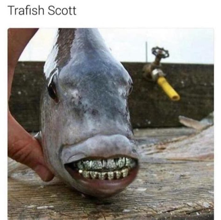 The Travis Scott Fish Meme TechSuperHit