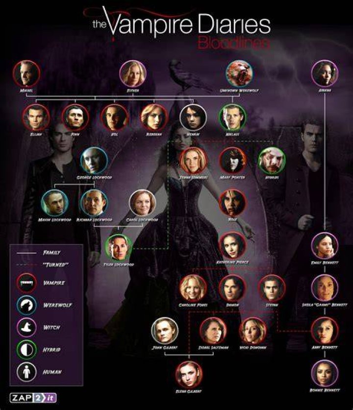 The Ultimate Guide To Sydney Sweeney On The Vampire Diaries