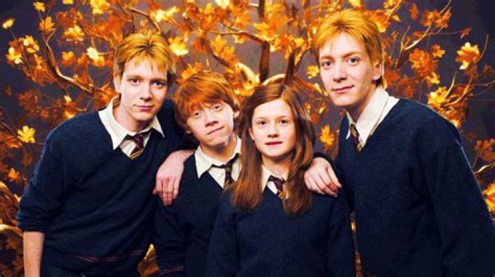 the Weasley family!!=) Arthur & Molly Weasley Photo (10180998) Fanpop