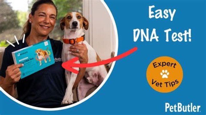 This dogs DNA breed test results may surprise you! 🫣 By Rocky Kanaka
