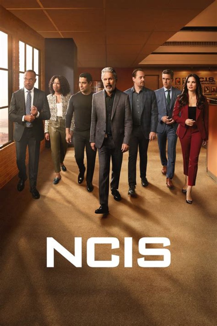 This Is What Mike Franks From Ncis Is