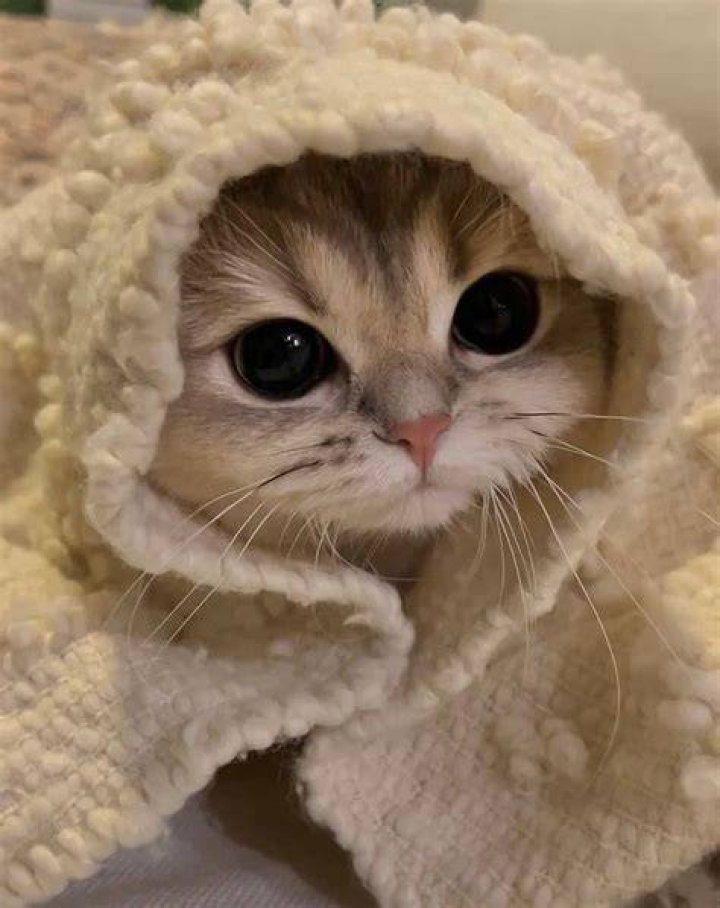This ridiculously CUTE picture of Harry Potter's Daniel Radcliffe aged