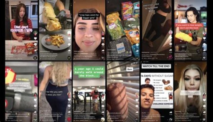TikTok Fad, or Objectively Bad? Richmond Journal of Law and