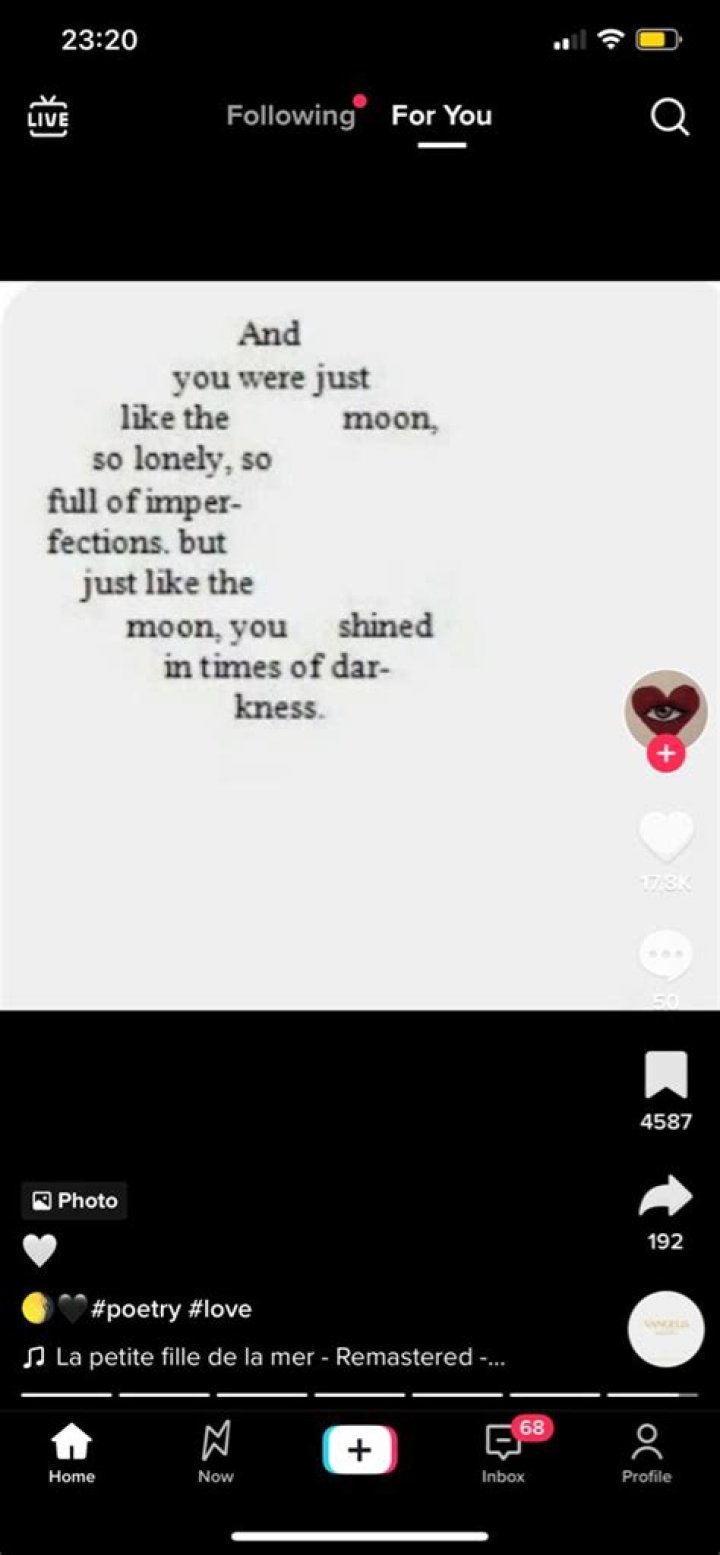 tiktok poetry