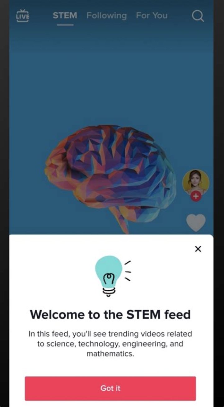 TikTok presenta STEM Feed contenido educativo seguro para adolescentes