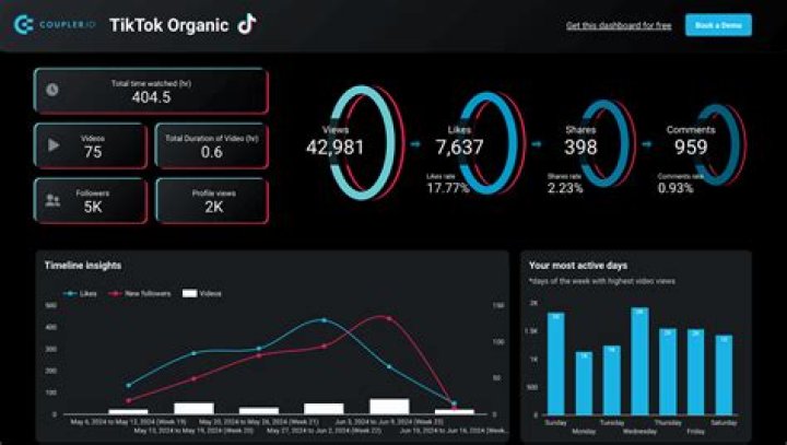 Tiktok Video Insight report for Google Data Studio by Catchr