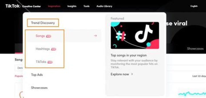 TikTok&rsquo;s Trend Discovery Tool Converting Viral Trends into High CR