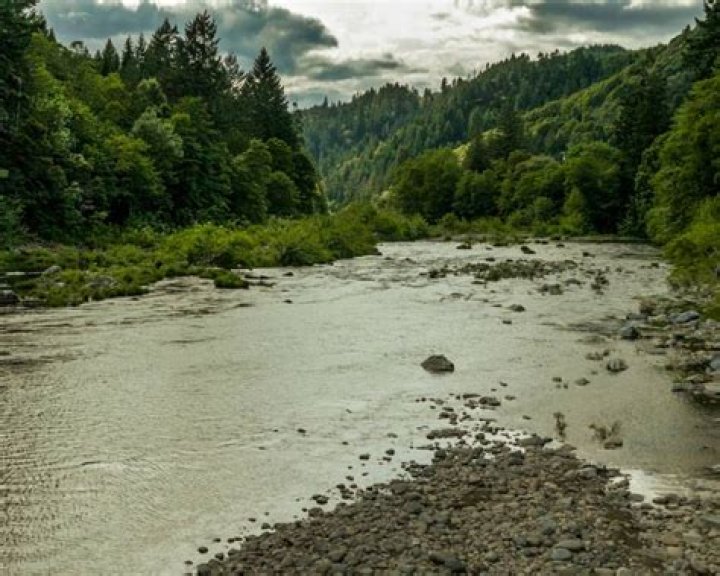 tiller town oregon Yahoo Image Search Results Oregon Life, State Of