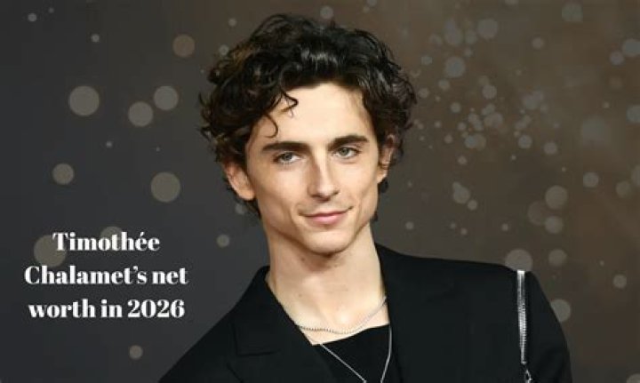 Timoth&eacute;e Chalamet Age, Biography, Height, Place of Birth, News & Photos