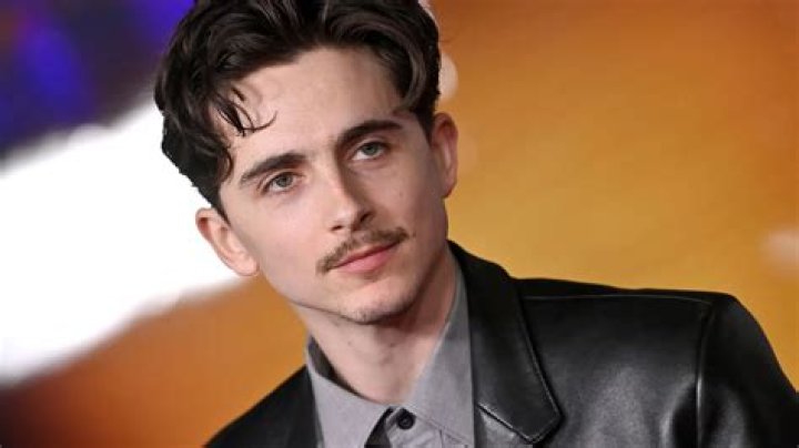 Timoth&eacute;e Chalamet comment l'acteur r&eacute;volutionne la masculinit&eacute; au