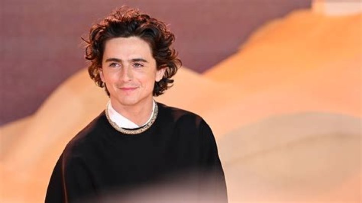 Timoth&eacute;e Chalamet Net Worth 2024 Movies, Earnings and Age