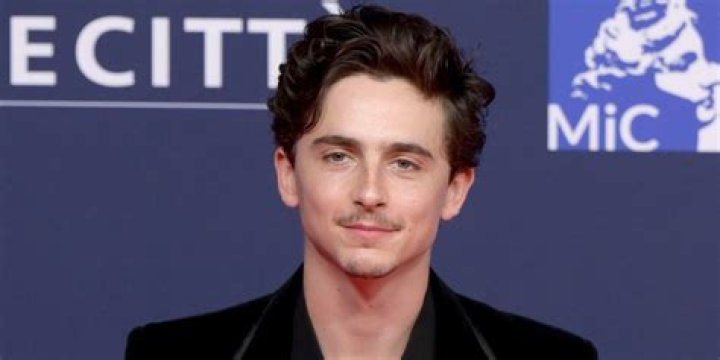 Timoth&eacute;e Chalamet the actor's 10 best roles Vogue Paris