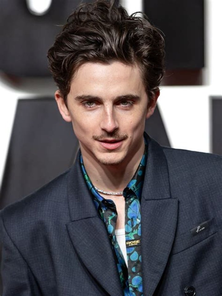 Timoth&eacute;e Hal Chalamet (1995) American actor. Photo &copy; Jeff Vespa