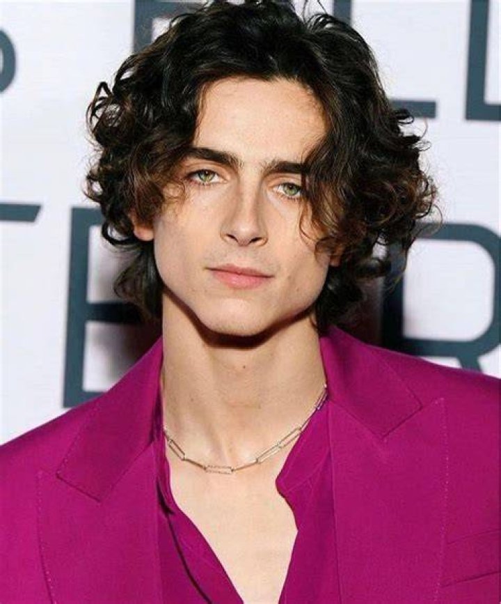 Timothee Chalamet Personal Life, Career and More. Timothee chalamet