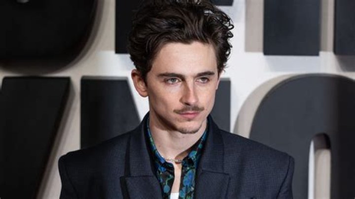 Timothee Chalamet's Biography, Nationality, Age And Height