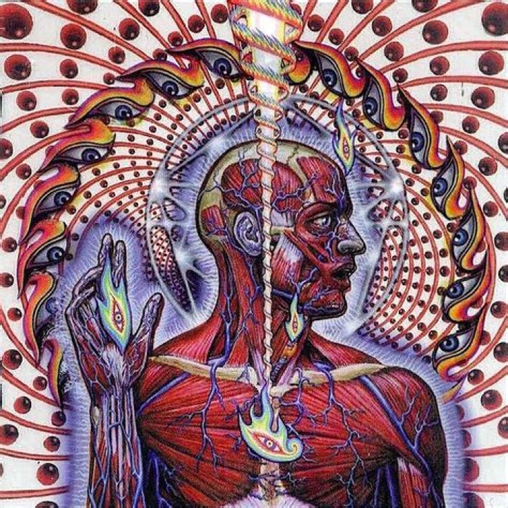 Tool Eulogy Lyrical Analysis Metal Amino