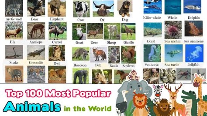Top 100 + Animal lover jobs near me