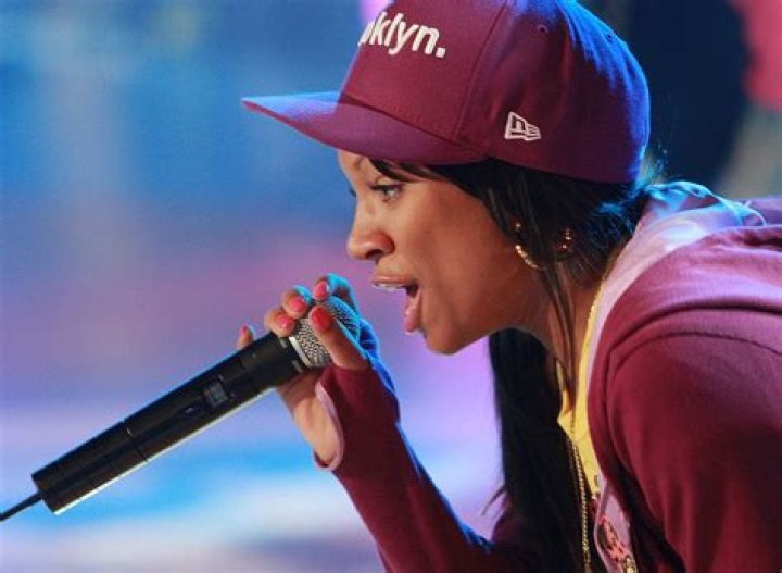 Top 96+ Pictures Lil Mama's Chicago Style Hoagy Photos Completed