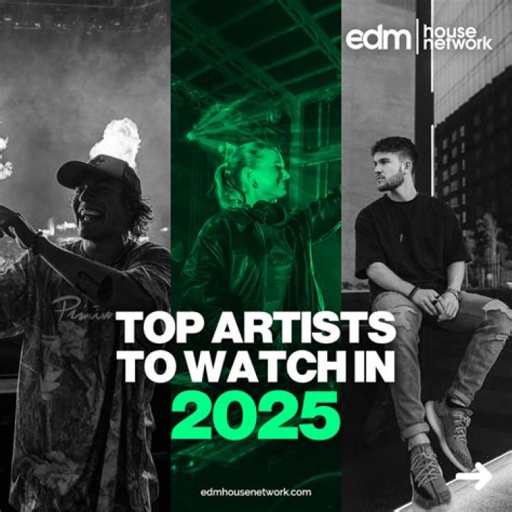 Top Earning Edm Artists The EDM Songs