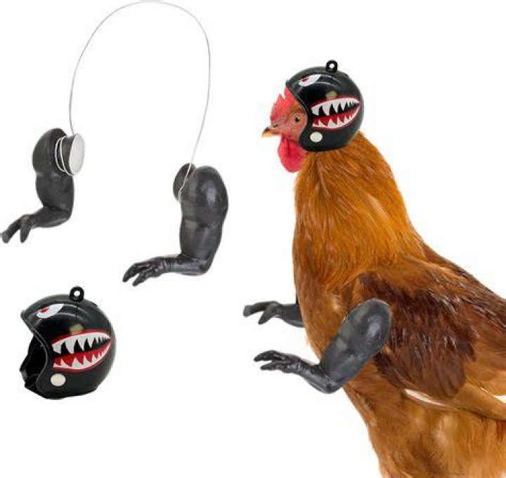 Tukinala Chicken Arms Toys Chicken Hands Doll Hands for Hens Chicken