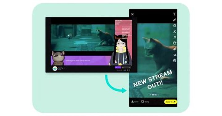 Twitch a banni Jaycgee Tseret