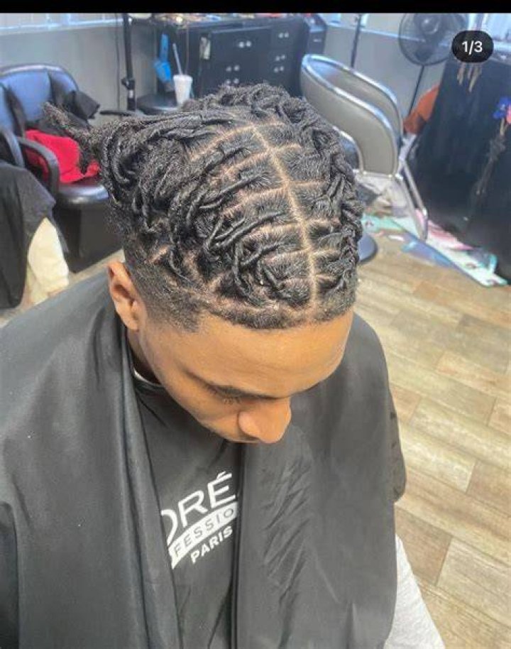 Two barrel twists on starter locs Dread hairstyles for men, Dreads