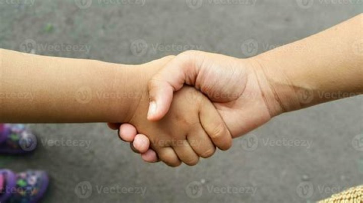 two hands holding an island with animals and trees on it that says save
