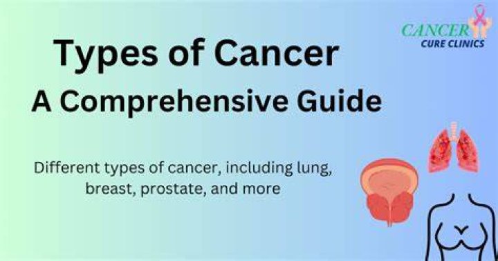 Types Of Cancer A Comprehensive Guide To Different Forms Ask The