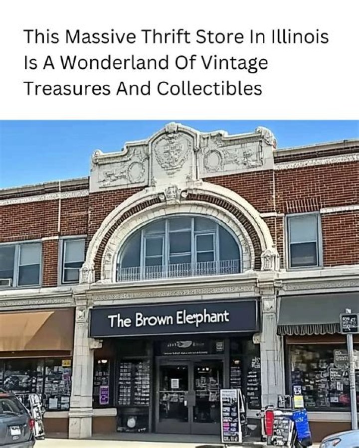 Uncover Hidden Treasures At Brown Elephant Thrift Store Chicago: A Shopper's Paradise
