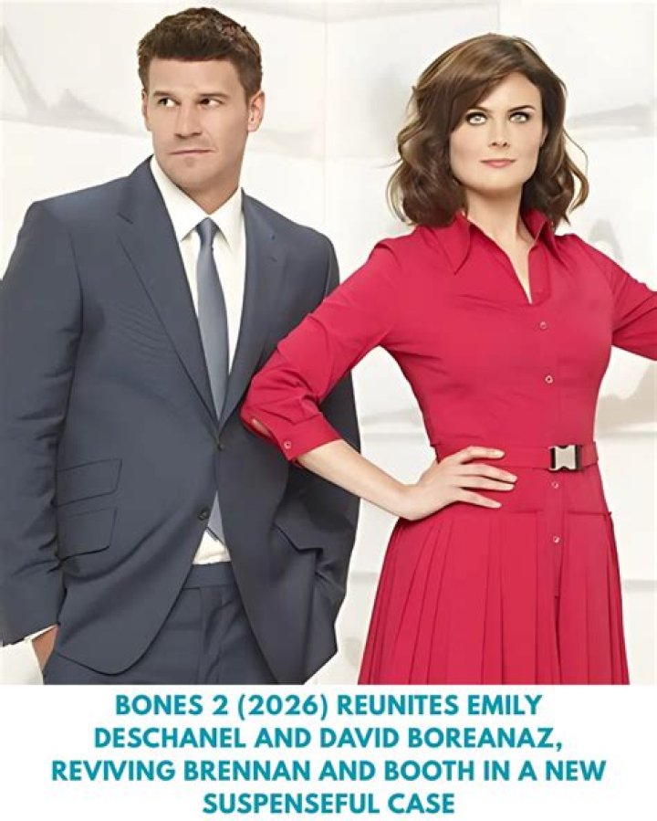 Uncover The Intriguing Life Of David Boreanaz: Age, Wife, And Beyond