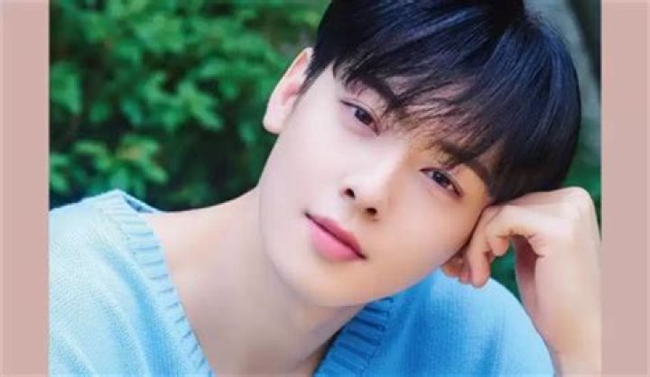 Uncovering Cha Eun Woo's Private Life: A Comprehensive Guide
