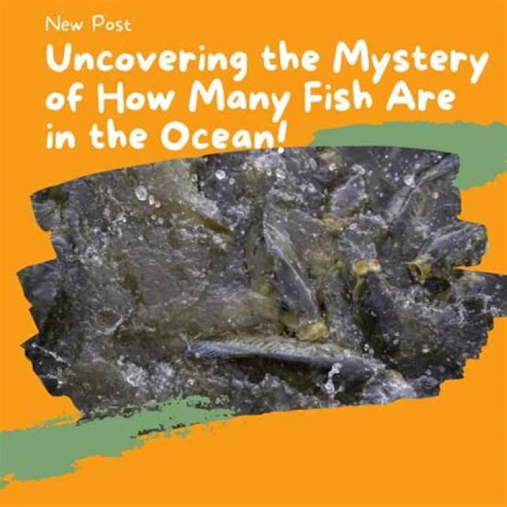 Uncovering the Mystery of How Is My Site Ranking on Google?