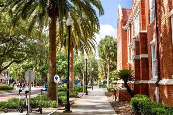 University of Florida and the Devy Landscape Vacated Production and