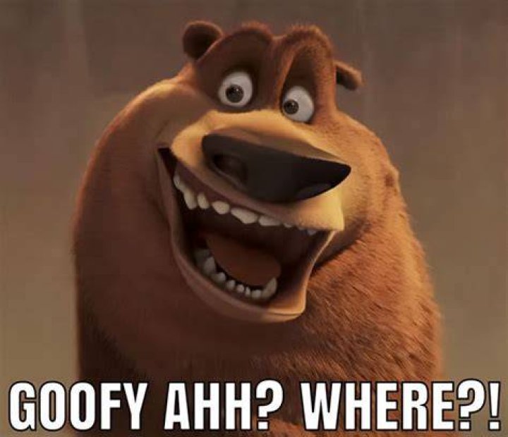 Unlock The Zany World Of "Funny Goofy Memes Goofy Ahh Pictures Gif"